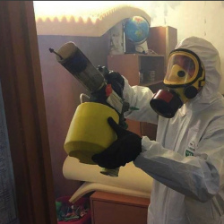 Уничтожение клопов в квартире. Заводоуковск